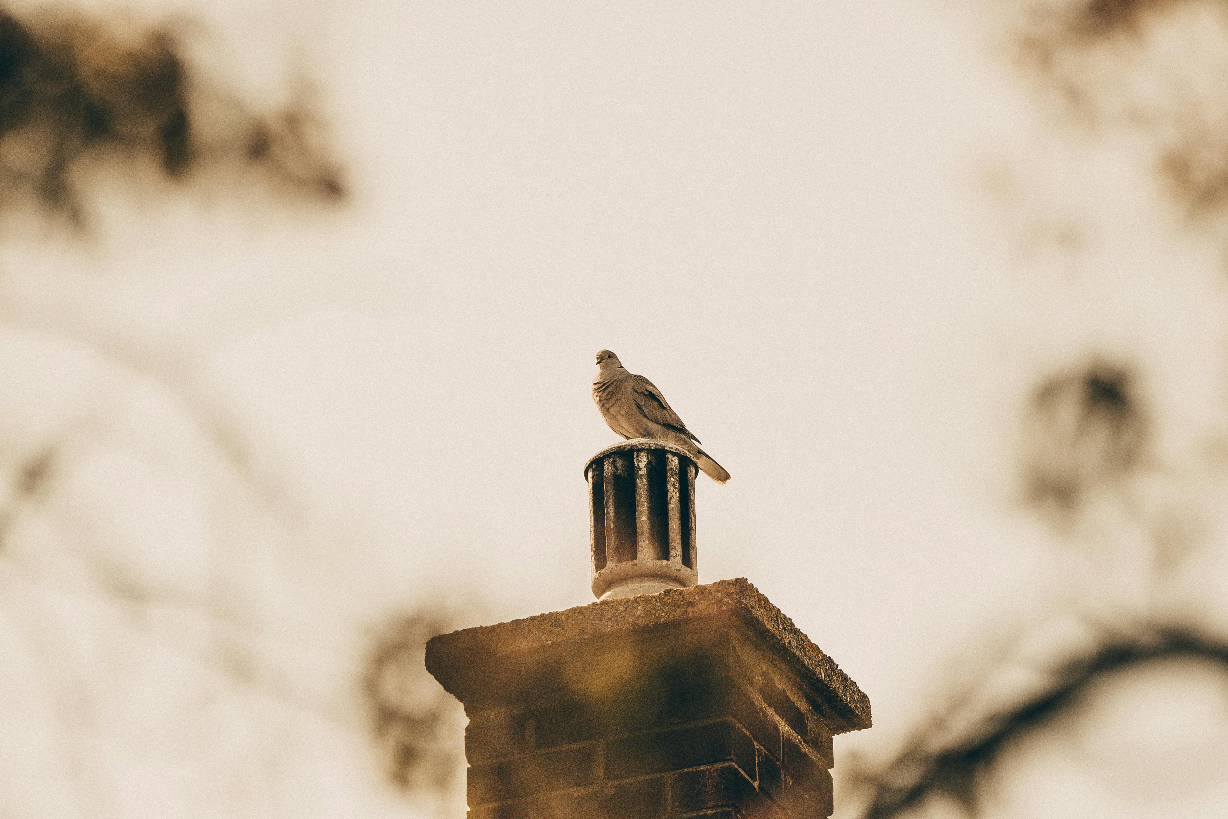 Expert Chimney Cap Installation in Granada Hills, California